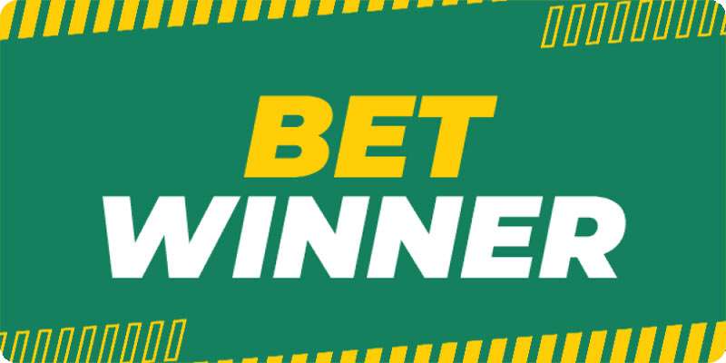 Betwinner Sports Wagering - An In-Depth Look at Betting Opportunities