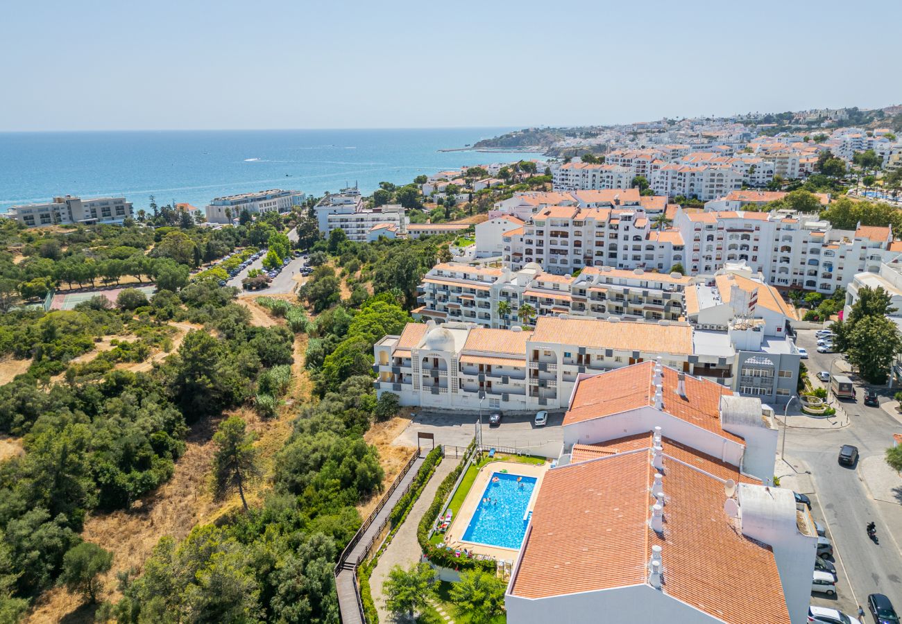 Apartamento em Albufeira - Stunning Apartment By Dreamplaces