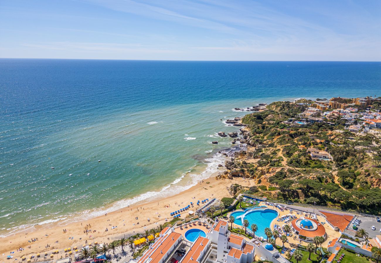 Apartamento em Albufeira - Flowers Apartment by Dreamplaces