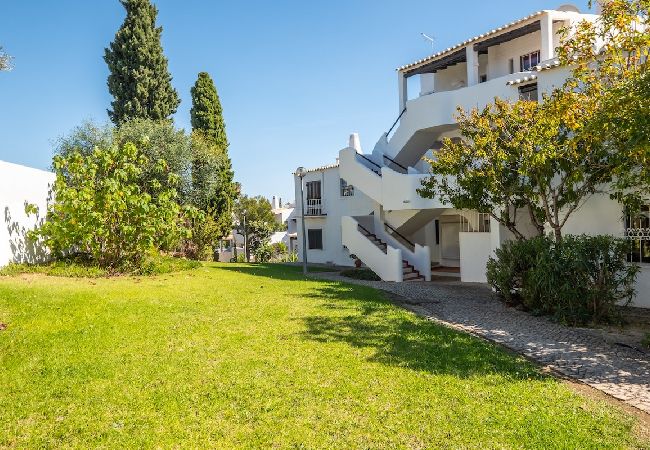 Apartment in Albufeira - Carolina Sea Apartment  Apartment in Albufeira - Carolina Sea Apartment