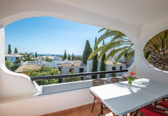 Apartment in Albufeira - Carolina Sea Apartment  Apartment in Albufeira - Carolina Sea Apartment