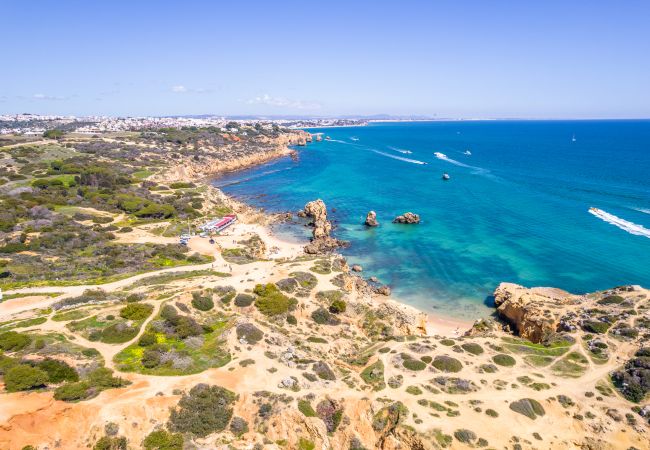 Villa in Albufeira - Casa Vela Palace Villa in Albufeira - Casa Vela Palace