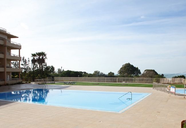 Residence in Albufeira - Barracuda Oura Dream Apartment  Residence in Albufeira - Barracuda Oura Dream Apartment