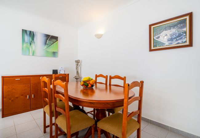 House in Albufeira - VILLA NINA House in Albufeira - VILLA NINA