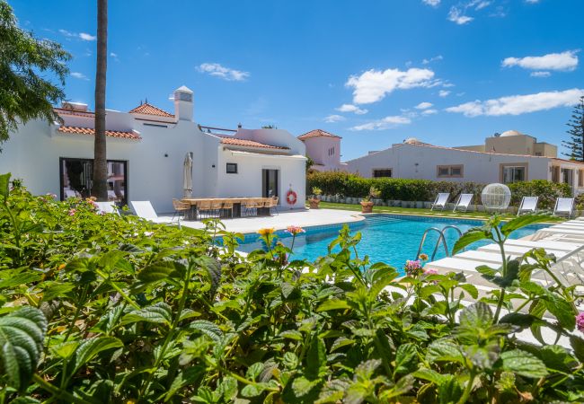 Villa in Galé - Valbom Luxury Village Villa in Galé - Valbom Luxury Village