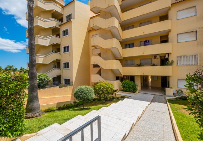 Apartment in Albufeira - Blue Wave Apartment by dreamplaces Apartment in Albufeira - Blue Wave Apartment by dreamplaces
