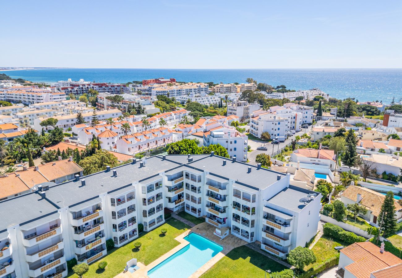Apartment in Albufeira - Flowers Apartment by Dreamplaces