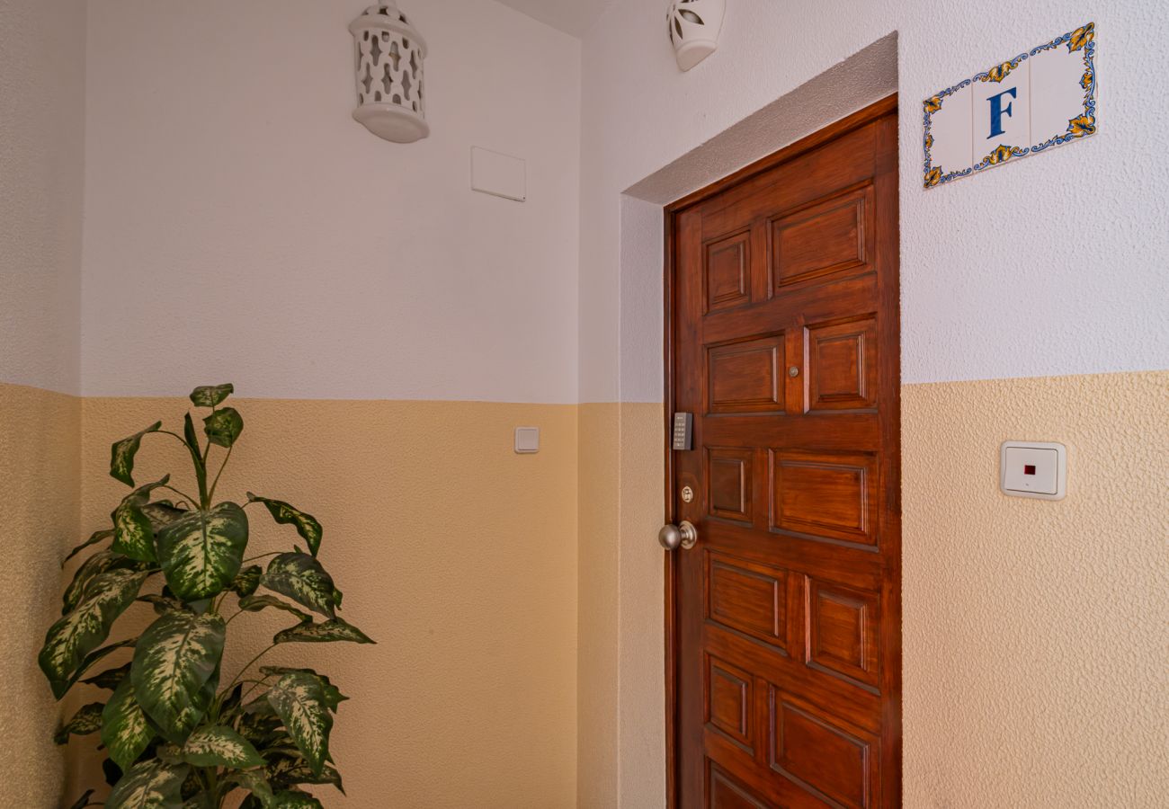 Apartment in Albufeira - Mimi's Apartment by Dreamplaces